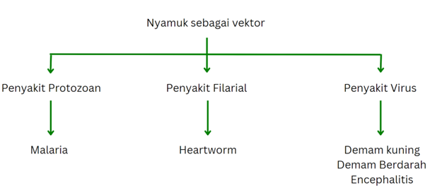 Macam-macam penyakit nyamuk