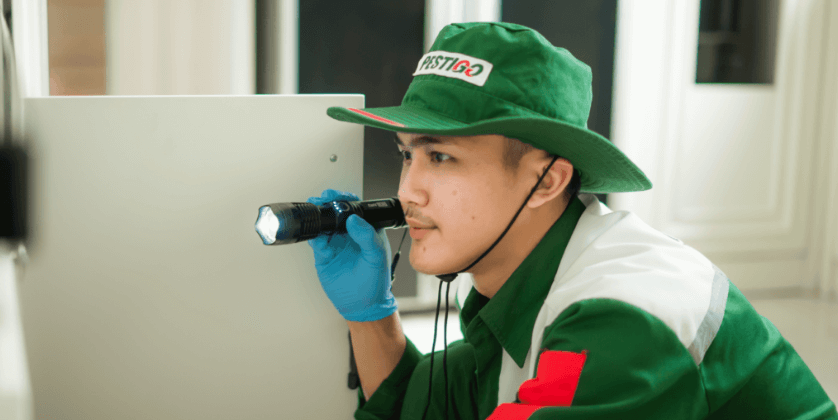 Foto teknisi pest control sedang inspeksi