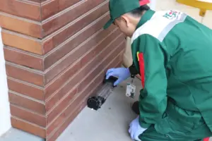 jasa pest control perkantoran