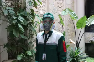 pengendalian-tikus-di-rumah-sakit