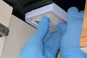 jasa-anti-rayap-bali