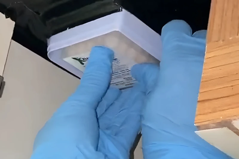 pestigo-kenali-kotoran-rayap