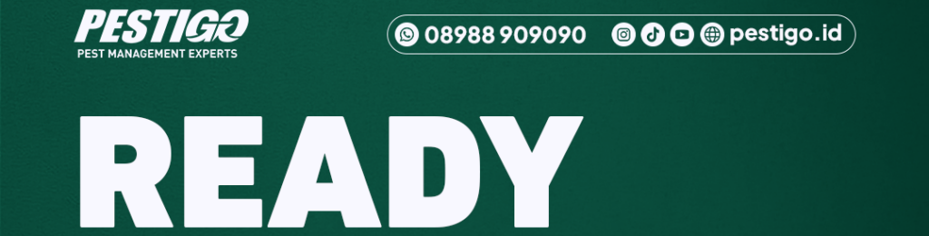 Lowongan Pekerjaan Finance Kota Bogor